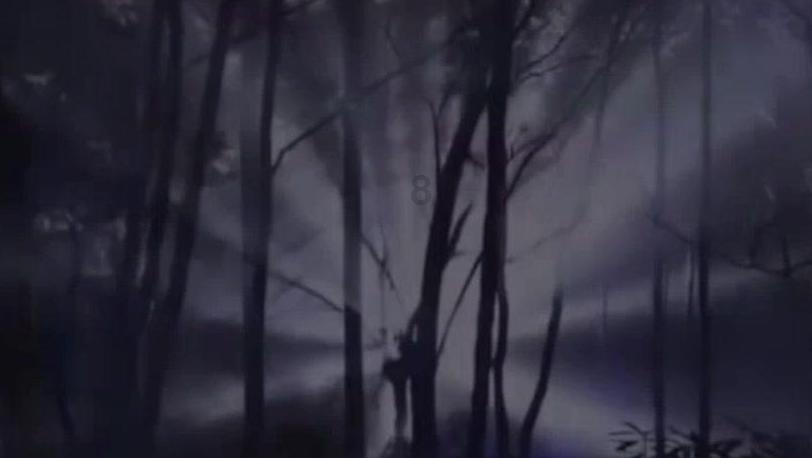 无忧国际wy6999